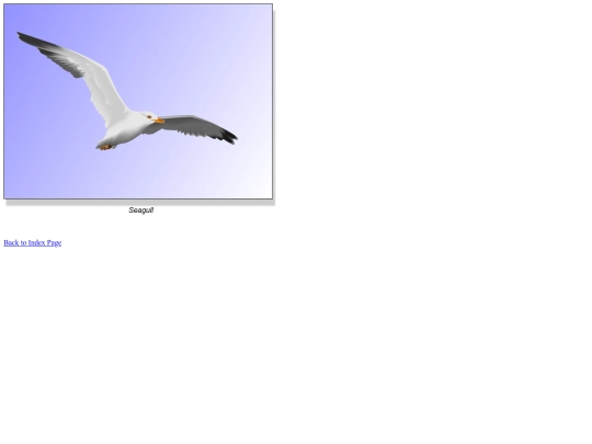 imageryproject/imagery-seagull screenshot