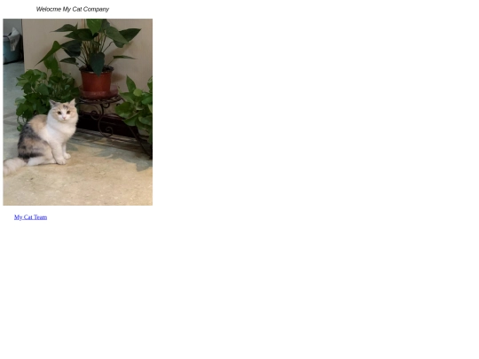 staff/my-cat-company-index screenshot