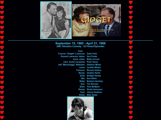 gidget screenshot