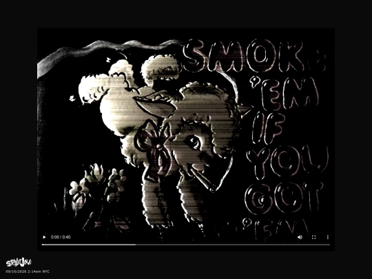 video-check-it screenshot