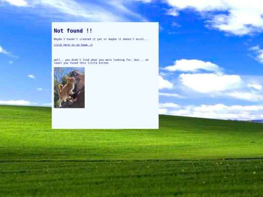not_found screenshot