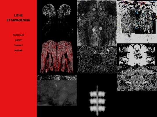 portfolio screenshot