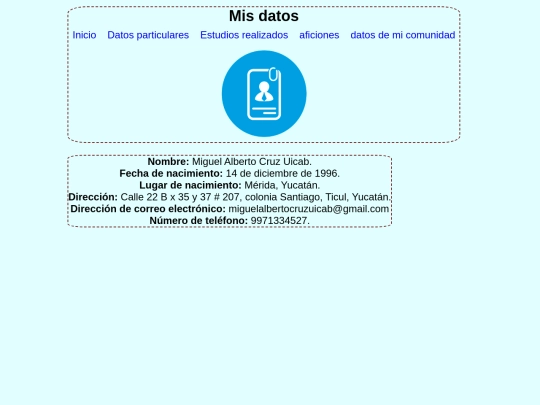 curriculumcss/Datosparticulares screenshot