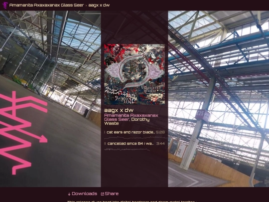 aags-x-dw screenshot