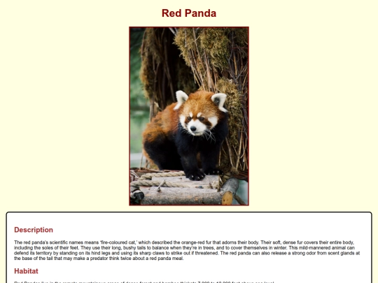 WEB_DESIGN/2.CSS/ZooProject/RedPanda screenshot