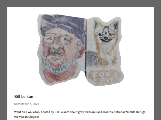 art/bill-leikam-foxes screenshot