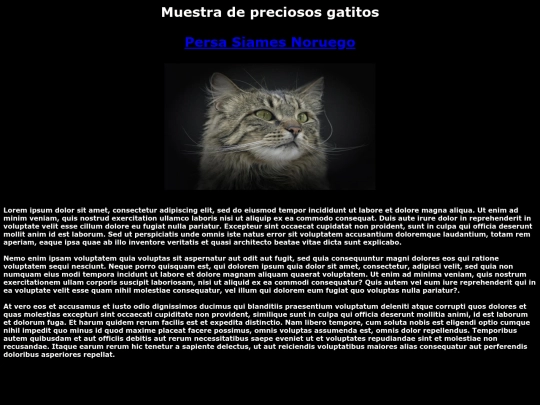 tercera/Noruego screenshot