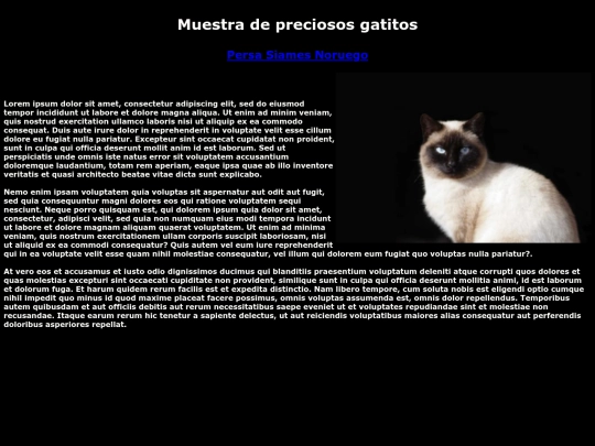 tercera/Siames screenshot