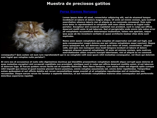 tercera screenshot
