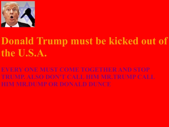 donaldtrumphatepage screenshot