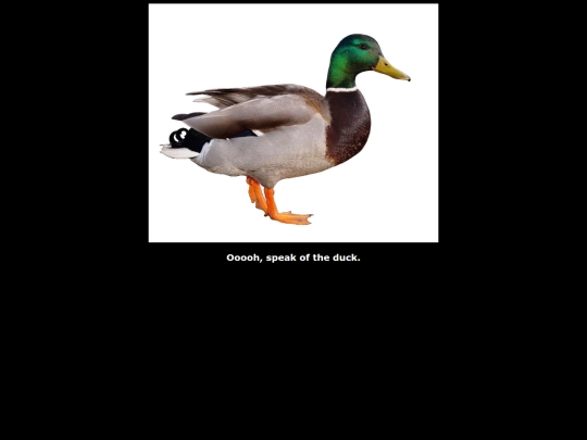 duck screenshot