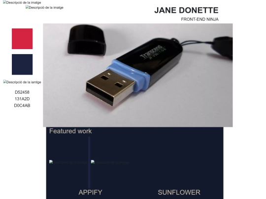 3-Bootstrap/Continguts/Bootstrap screenshot