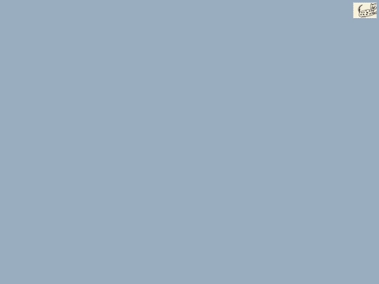 305/home screenshot