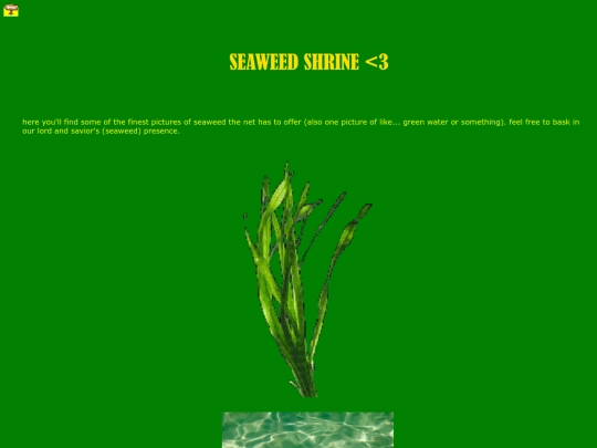 seaweedshrine screenshot