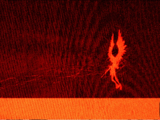alien screenshot