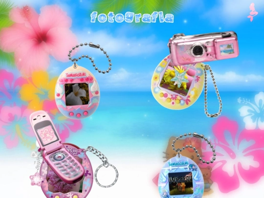 fotografia screenshot