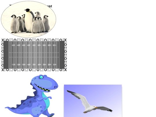 images assignment/filter screenshot
