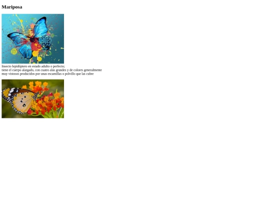 Diseño_web/ej6/mariposa screenshot
