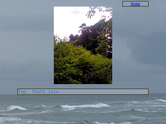 Rain screenshot