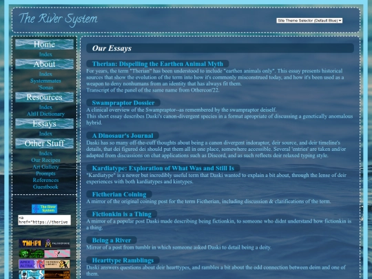 essays screenshot