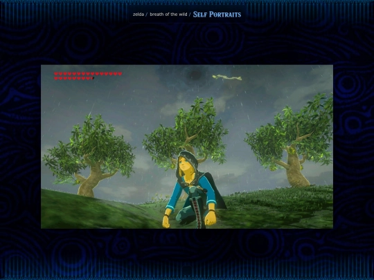 zelda/breath-of-the-wild/self-portraits screenshot