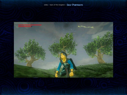 zelda/tears-of-the-kingdom/self-portraits screenshot