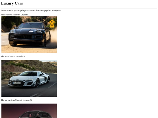 Proyects/Start Gallery/Gallera screenshot