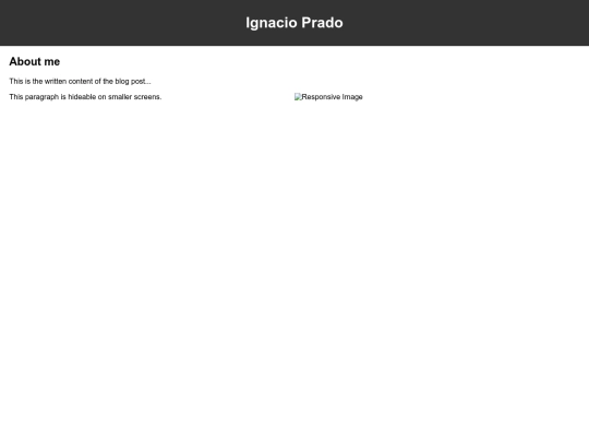 responsiveblogpost3 screenshot