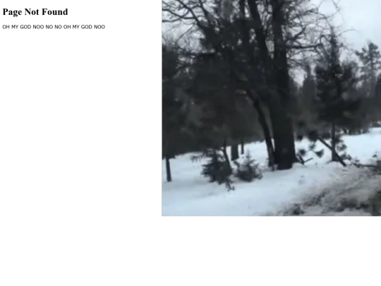 not_found screenshot