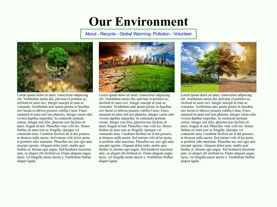 environment screenshot