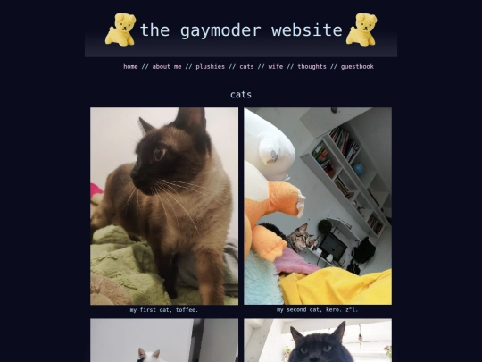 cats screenshot