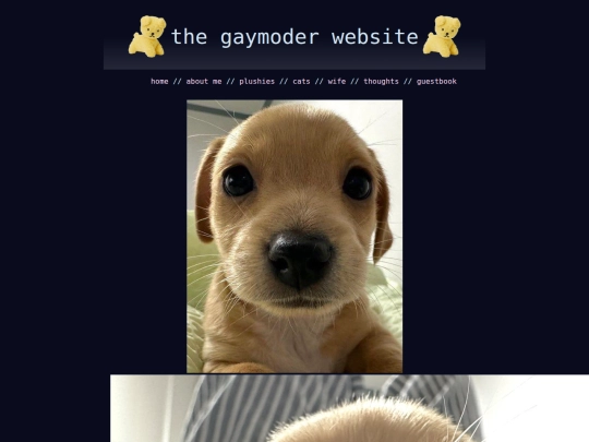 ouppy screenshot