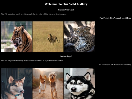 Starter Gallery Assignment/GalleryAssignment screenshot