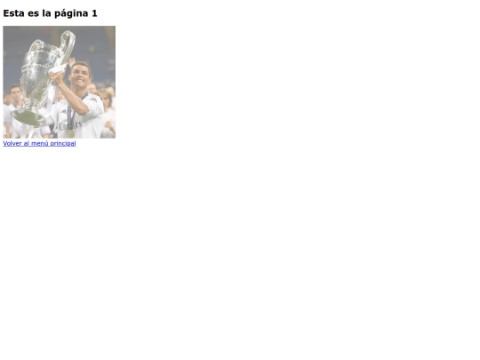 página1 screenshot