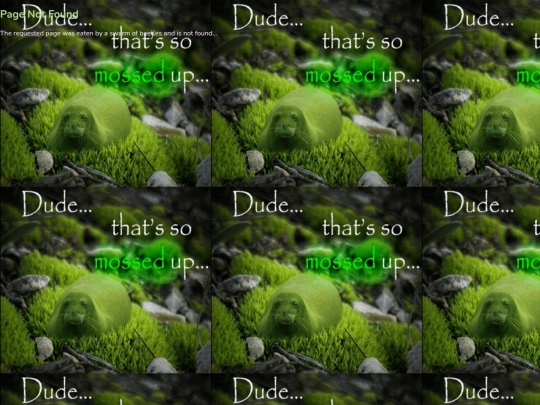 not_found screenshot