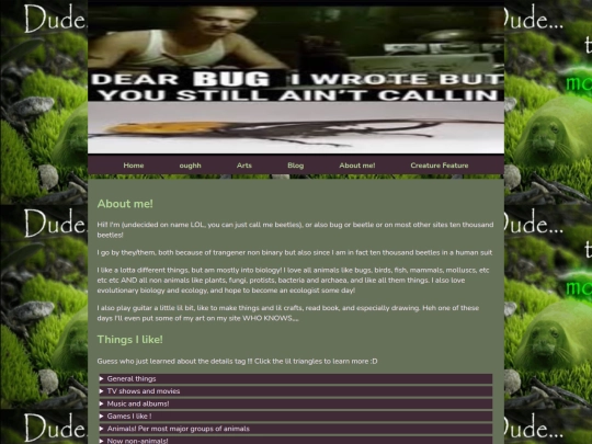 pages/about screenshot