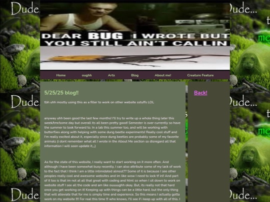 pages/blogcategories/blog screenshot