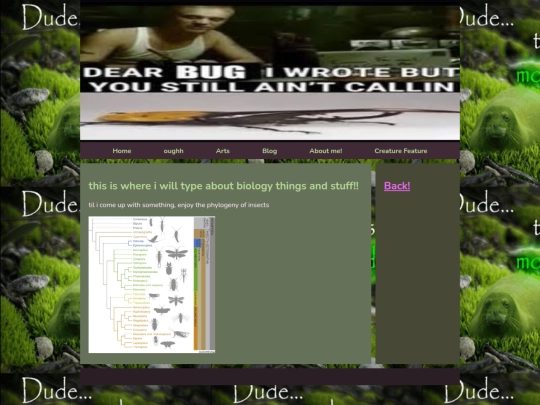 pages/blogcategories/bugsAsInTheAnimalNotComputer/template screenshot