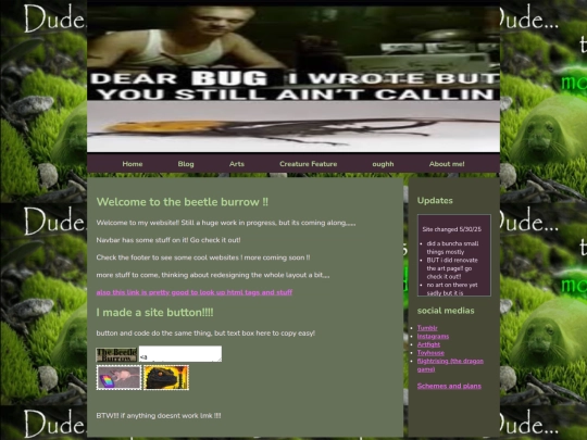 pages/home screenshot