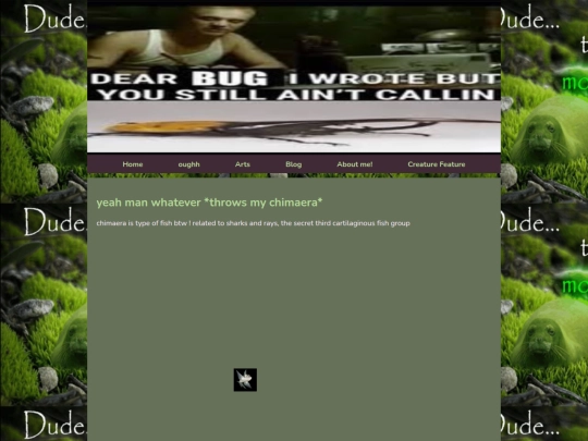 pages/waow screenshot