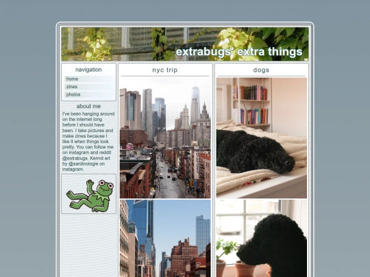 photo screenshot