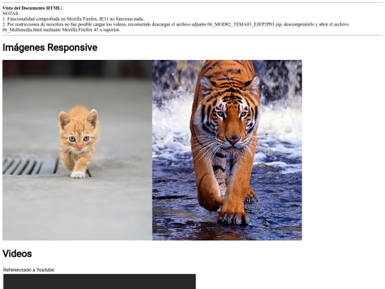 Miriadax/Desarrollo_HTML5/MOD02_TEMA03_EJEP2P03/06_Multimedia screenshot