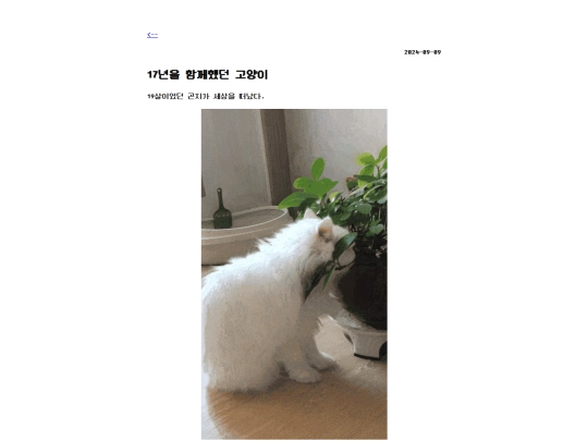 my-white-cat screenshot