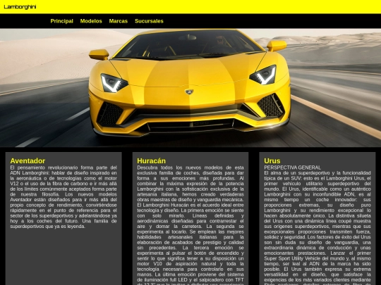 paginas_web/pag1 screenshot