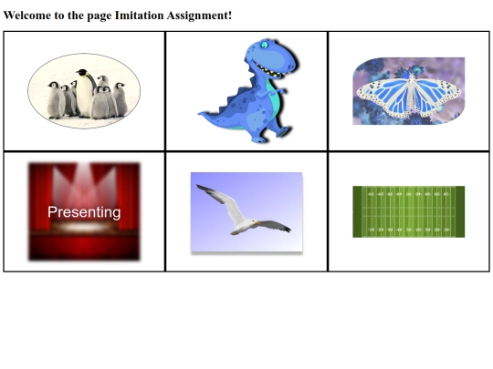 ImitationAssignment screenshot