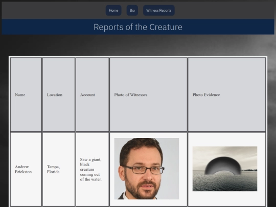 witness screenshot