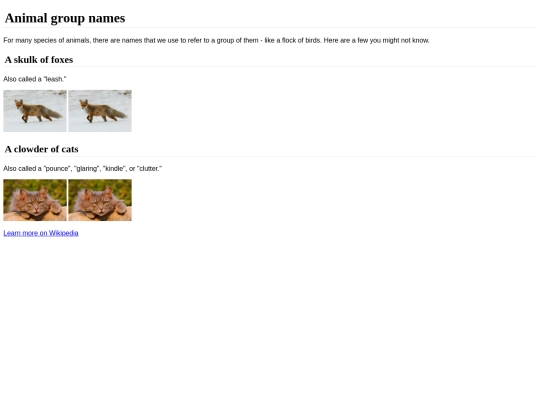khan Academy/animalesagrupados screenshot