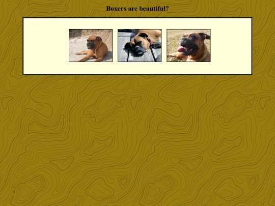 khan Academy/modeloboxer screenshot
