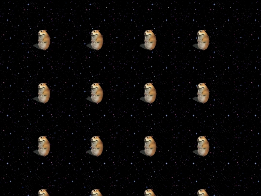 hamster screenshot