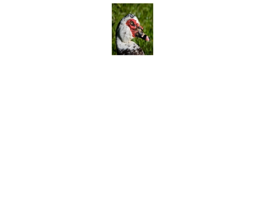 imagenes screenshot